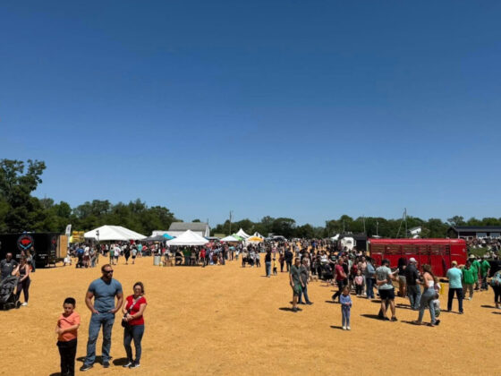 Festivals