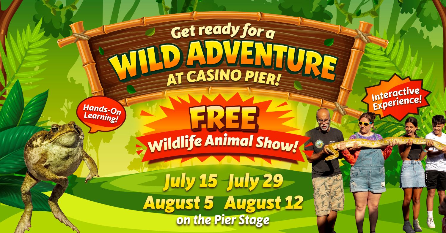 Wildlife Animal Show