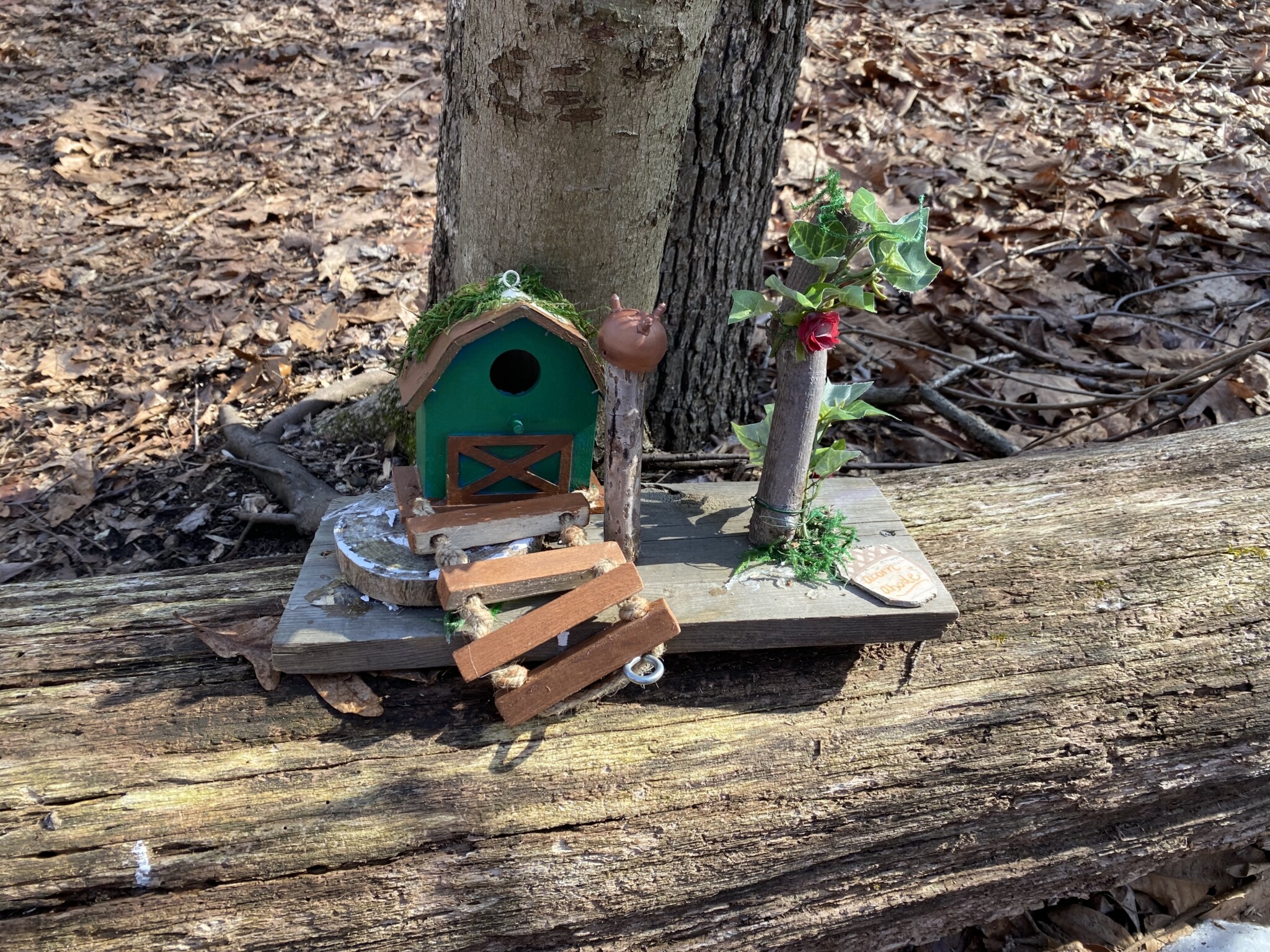 Bellflower fairy trail nj mom fairy trails in New Jersey