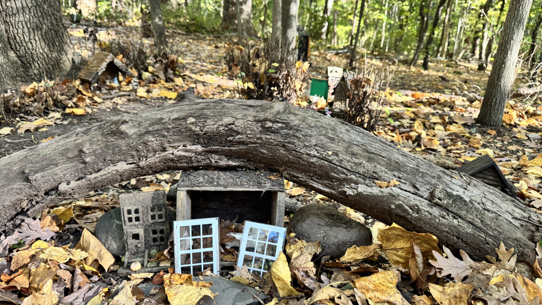 South Mountain Fairy trail nj mom fairy trail in new jersey