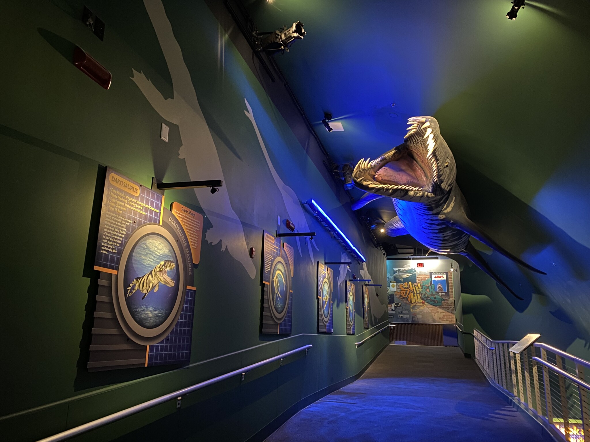 Adventure Aquarium Camden County nj mom