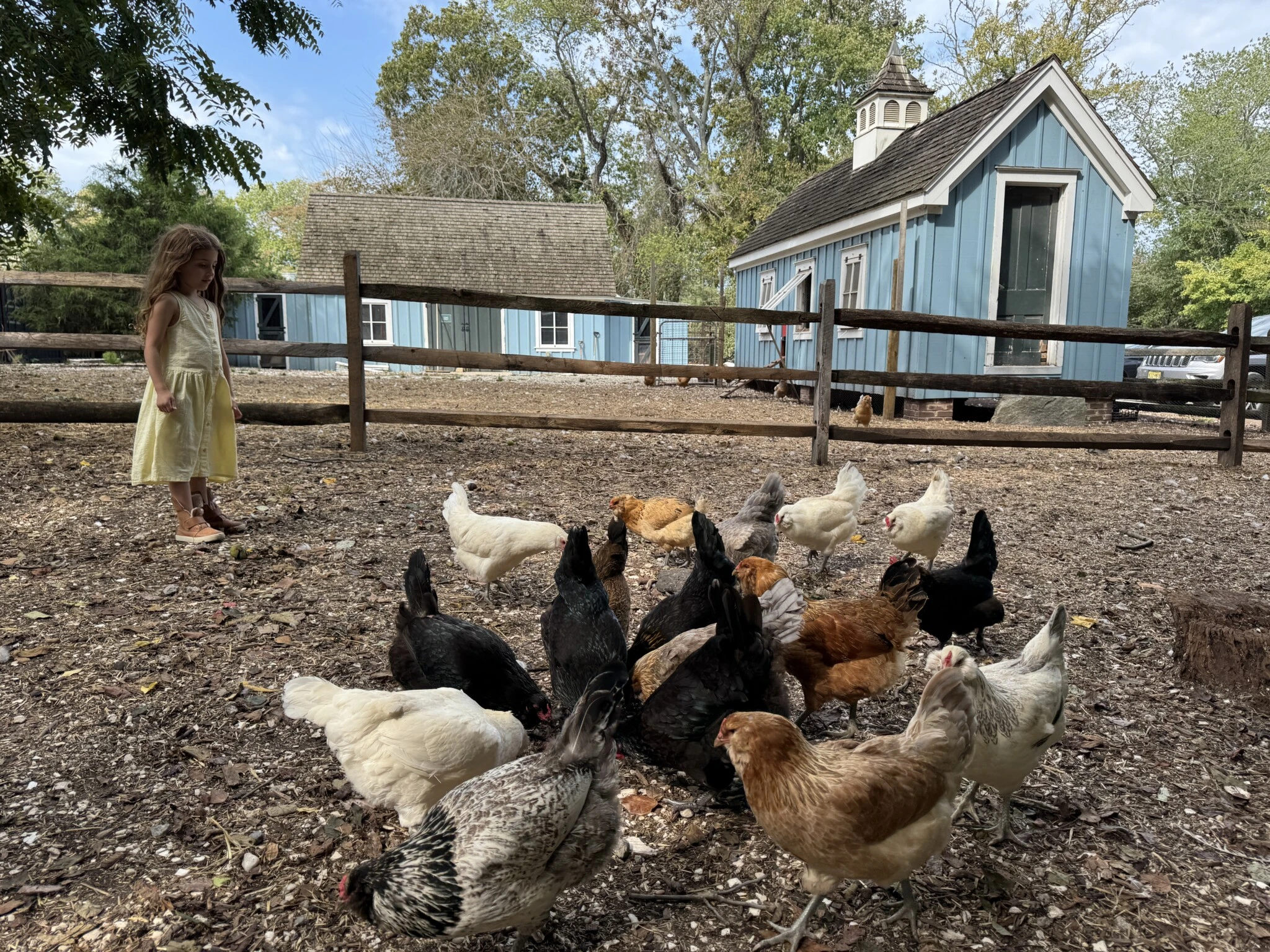 Beach Plum Farm animals nj mom