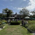 Beach Plum Farm feature nj mom