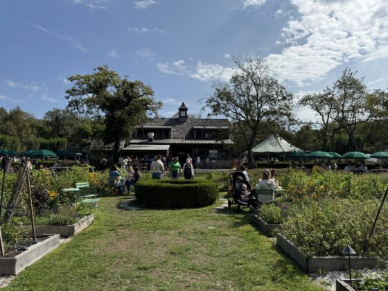 Beach Plum Farm feature nj mom