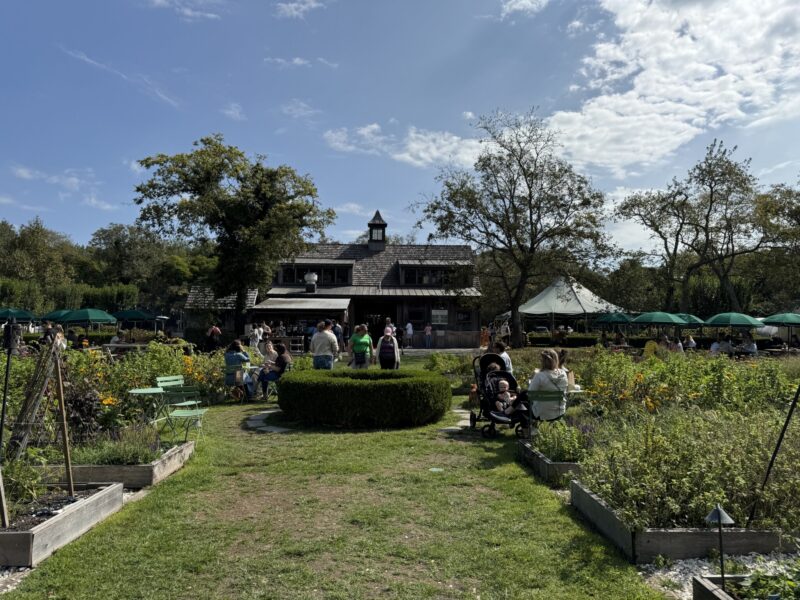 Beach Plum Farm feature nj mom