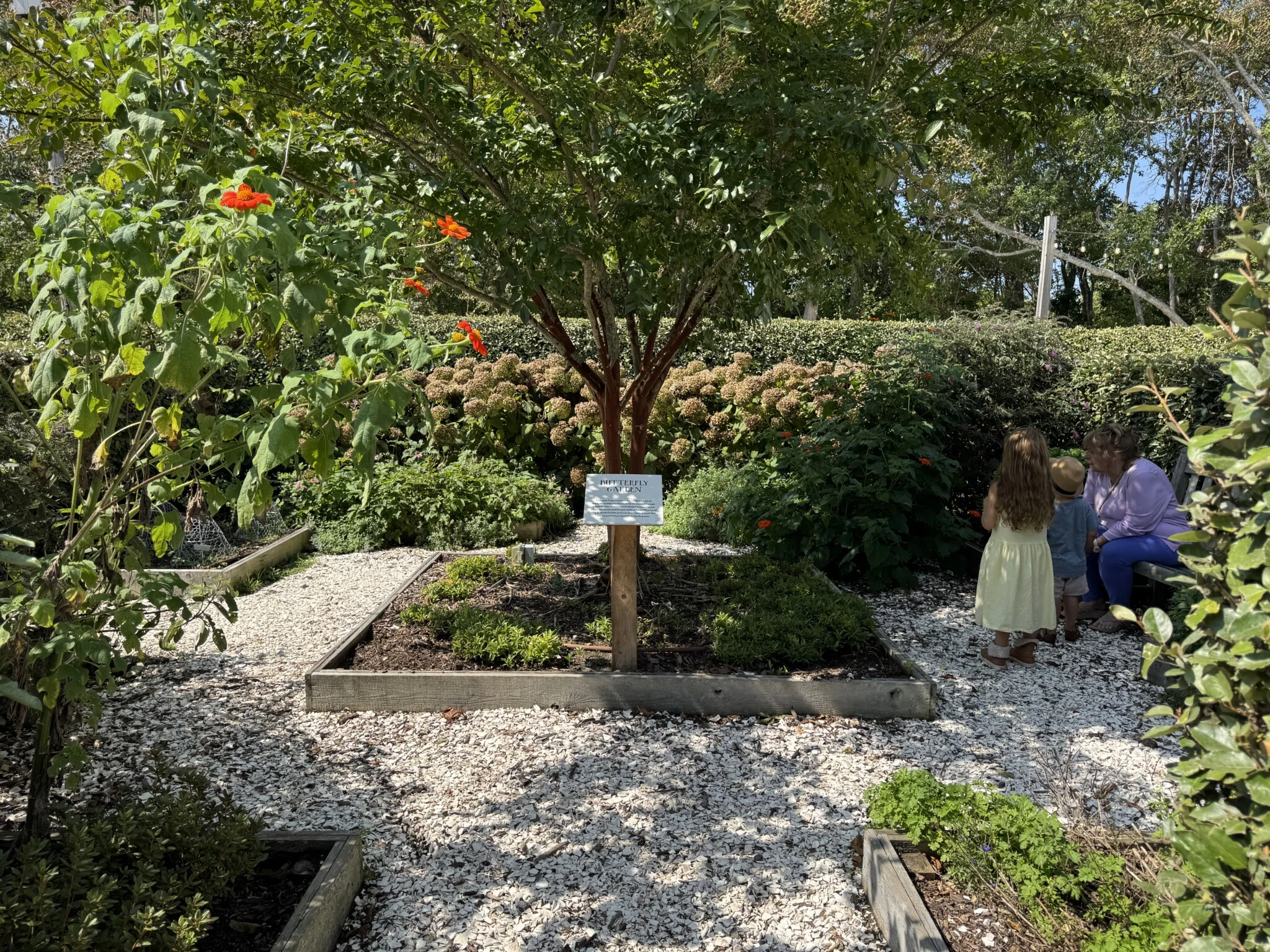 Beach Plum Farm trees nj mom