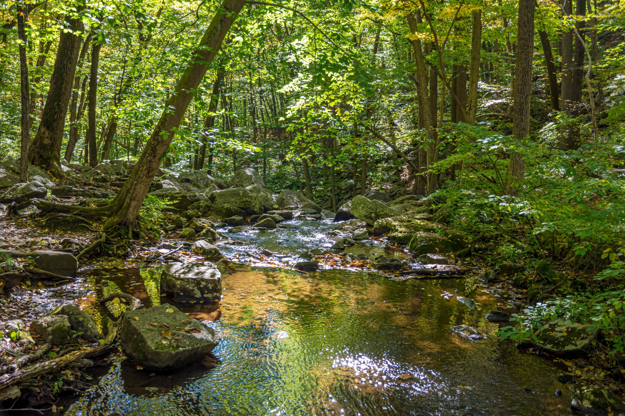 Hacklebarney State Park Morris County nj mom