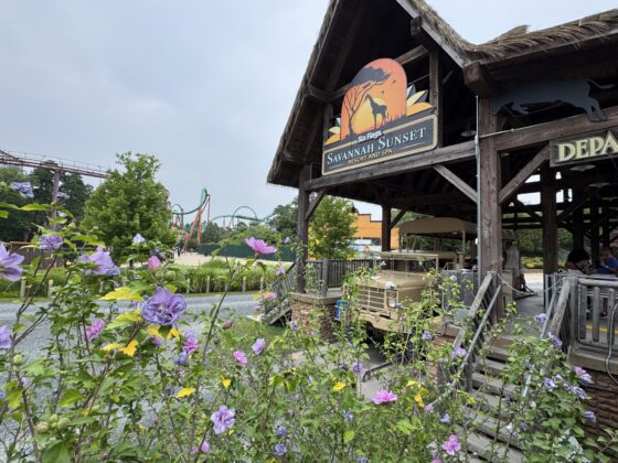 six flags safari