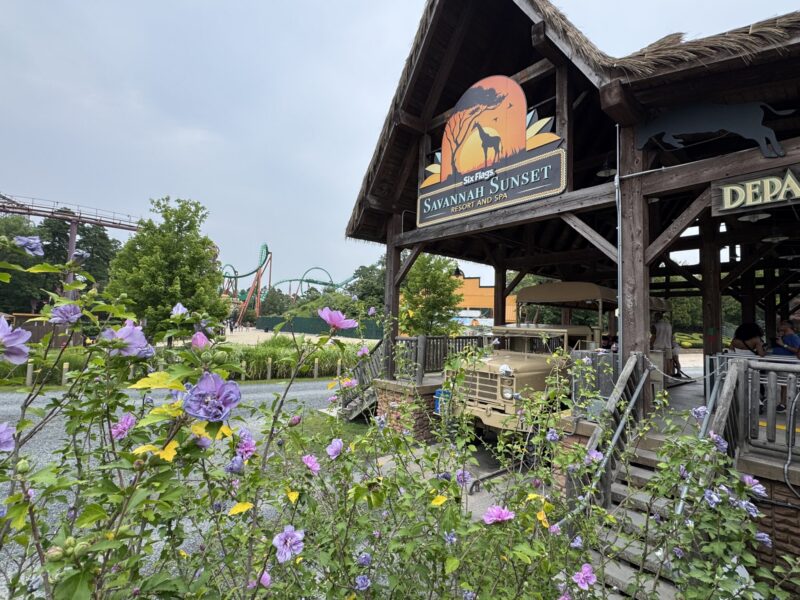 six flags safari