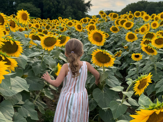festivals in NJ this month