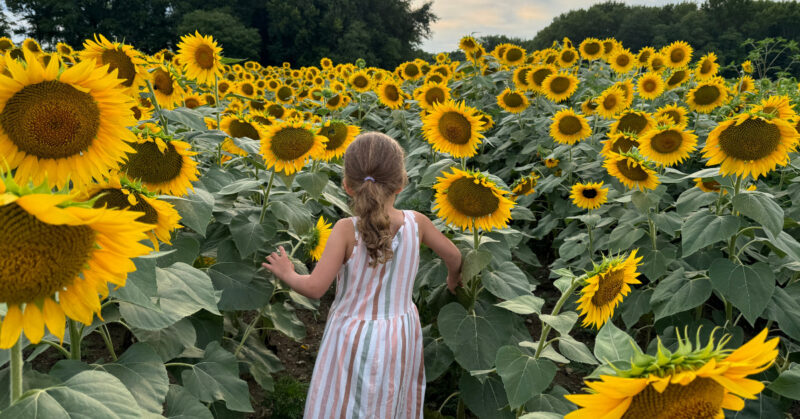festivals in NJ this month