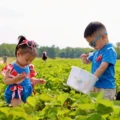 von thun farms nj mom middlesex county
