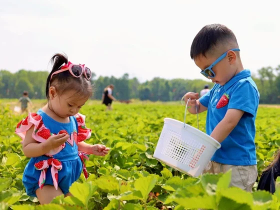 von thun farms nj mom middlesex county