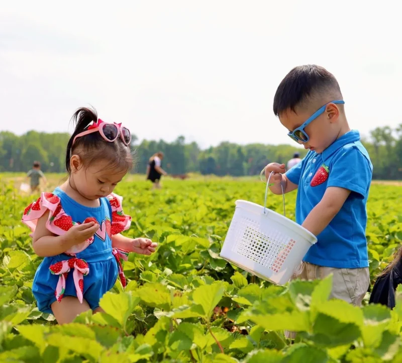 von thun farms nj mom middlesex county