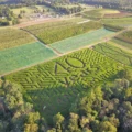 Alstede-Farms-animals-e1698332795313