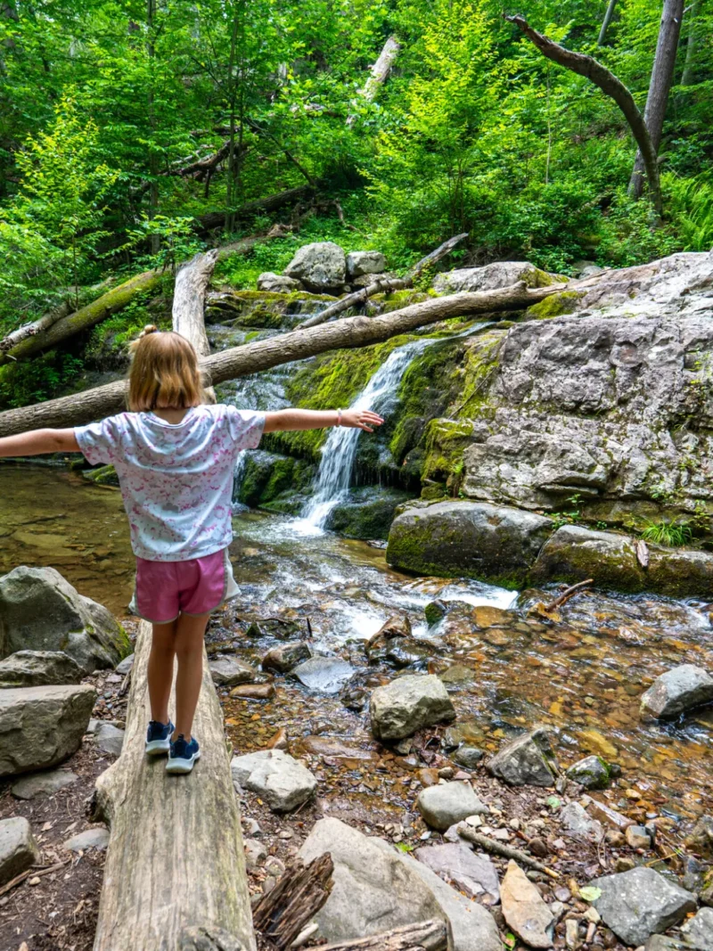 Appalachian Trail nj mom