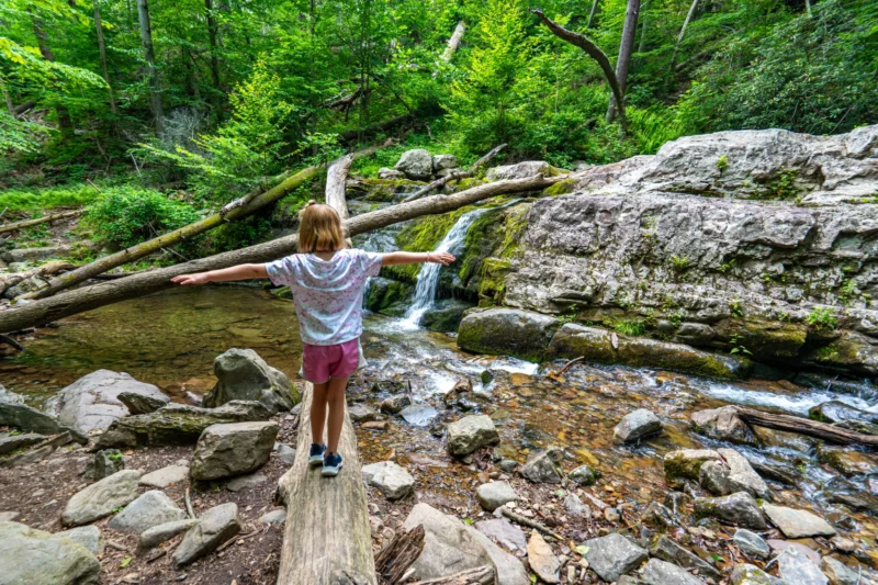 Appalachian Trail nj mom