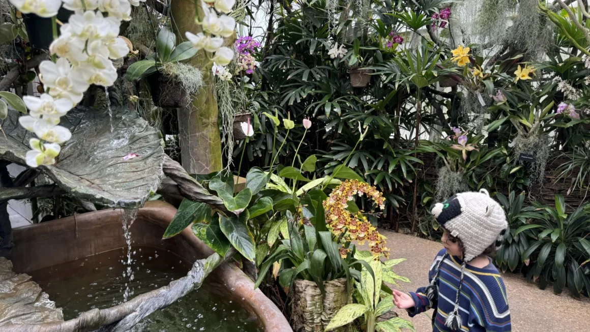 Duke Farms things to do in Somerset County nj mom