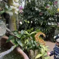 Duke Farms things to do in Somerset County nj mom