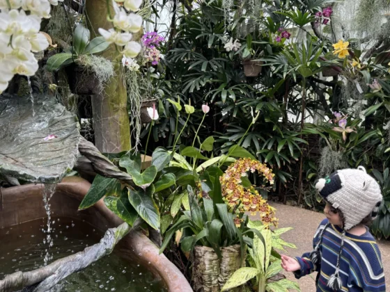 Duke Farms things to do in Somerset County nj mom