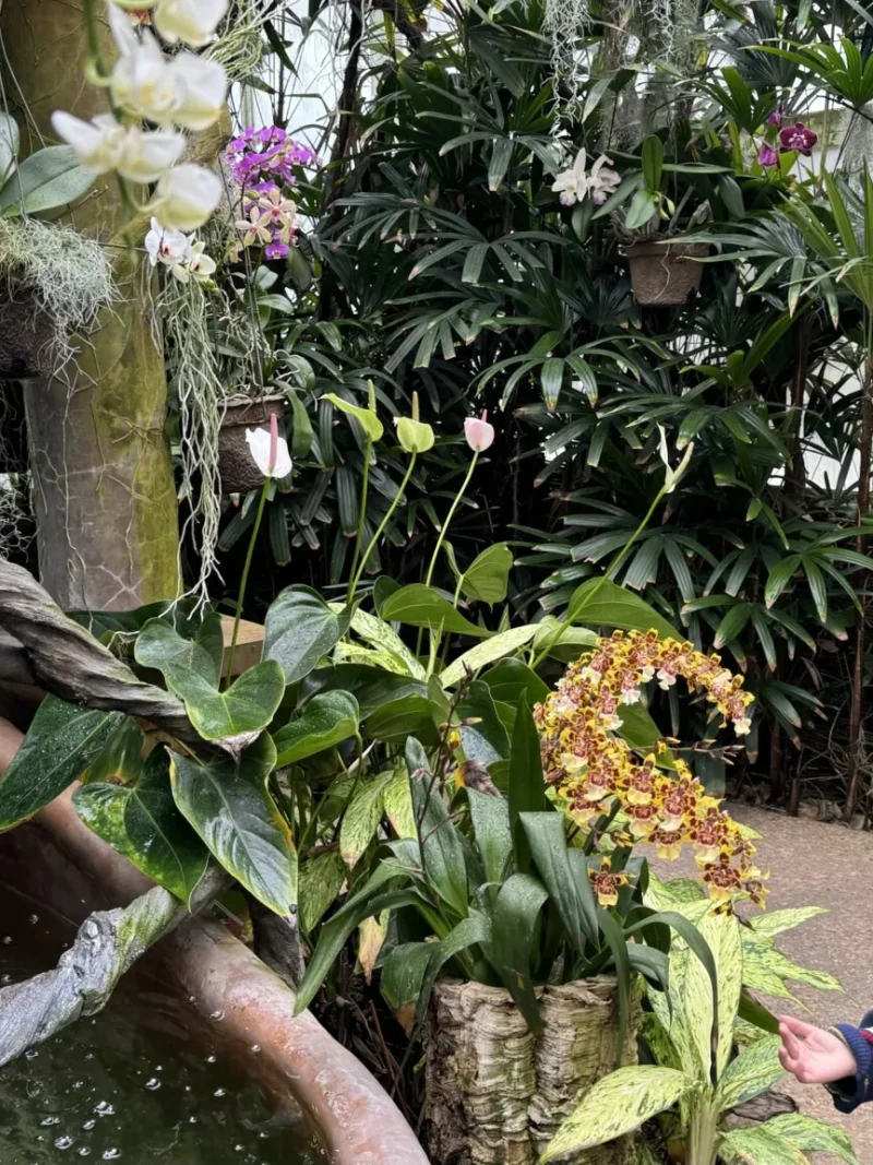 Duke Farms things to do in Somerset County nj mom