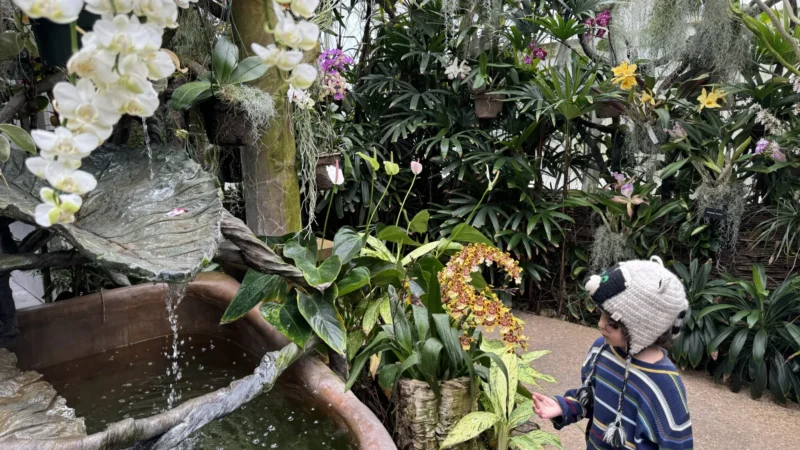 Duke Farms things to do in Somerset County nj mom