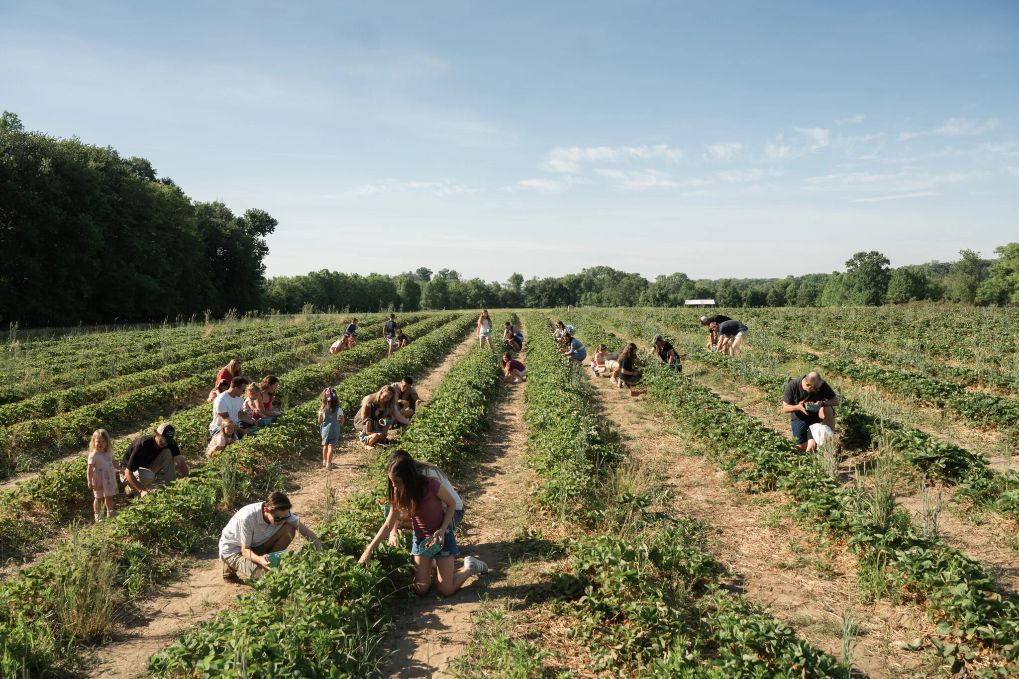 Johnson's Locust Hall Farm pick nj mom