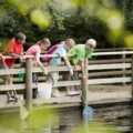 Junior Ranger nj mom feature