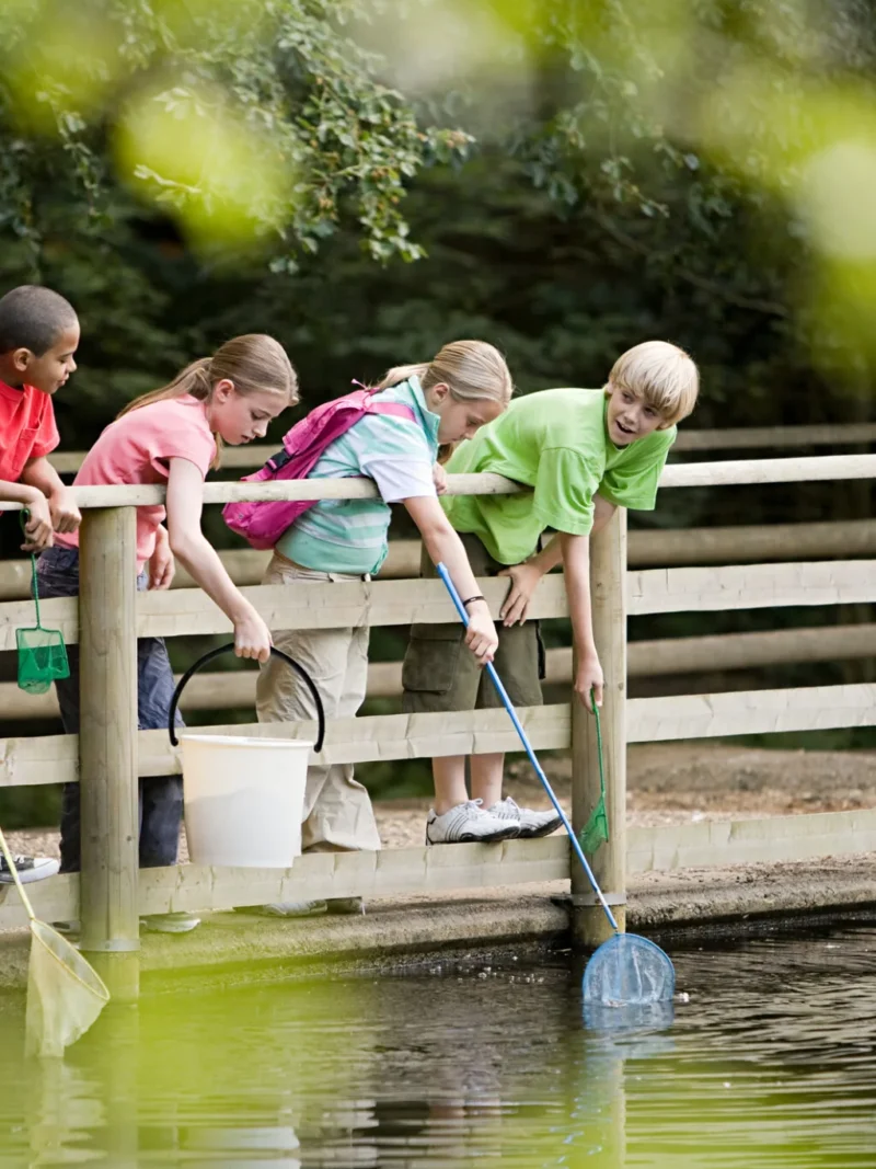Junior Ranger nj mom feature