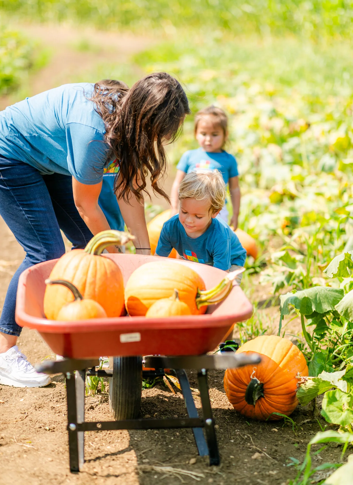 locusthall_farm_promo_image-144