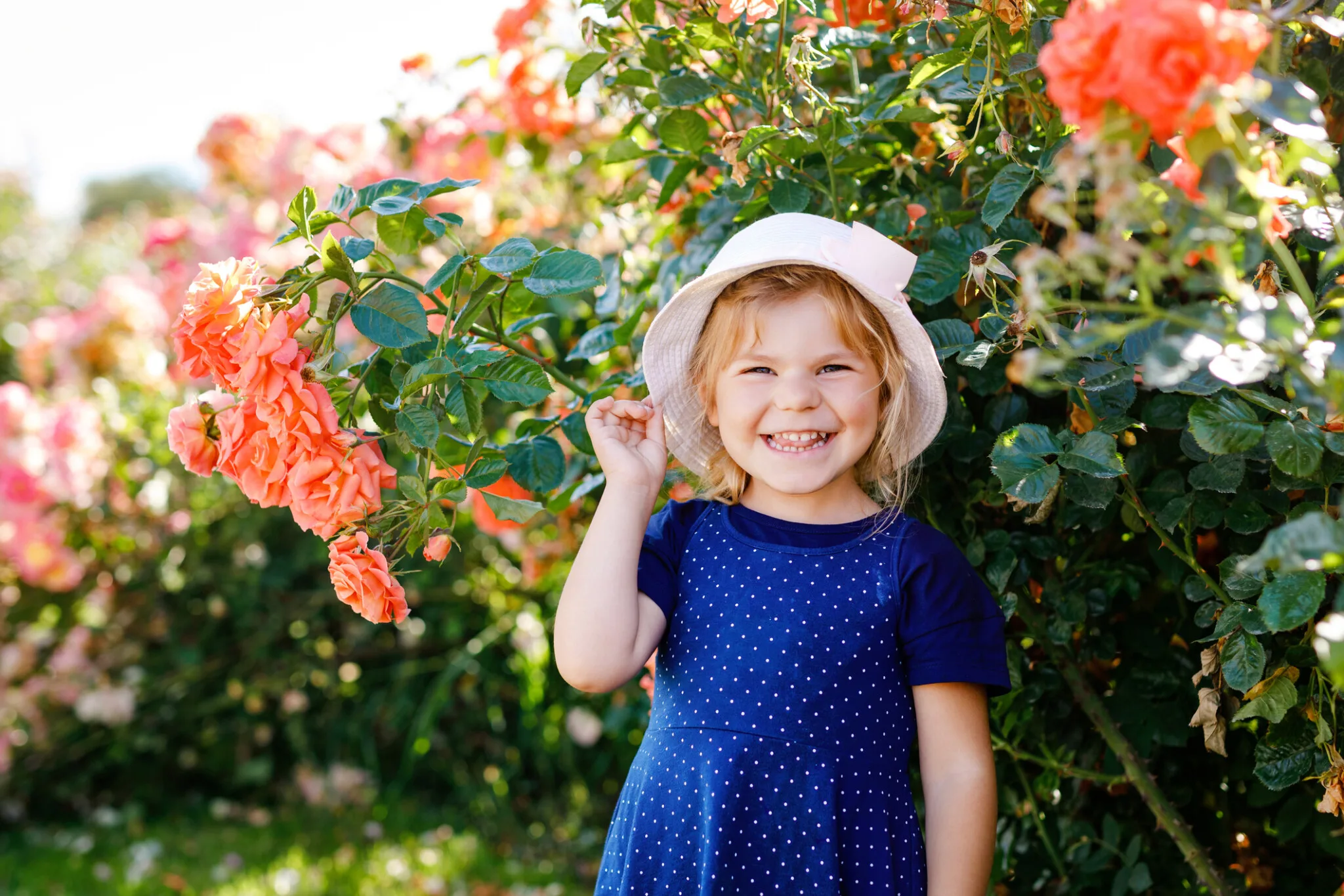 rose garden things to do in Somerset County nj mom
