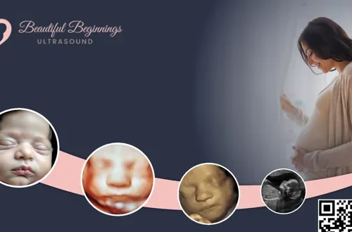Beautiful Beginnings logo nj mom
