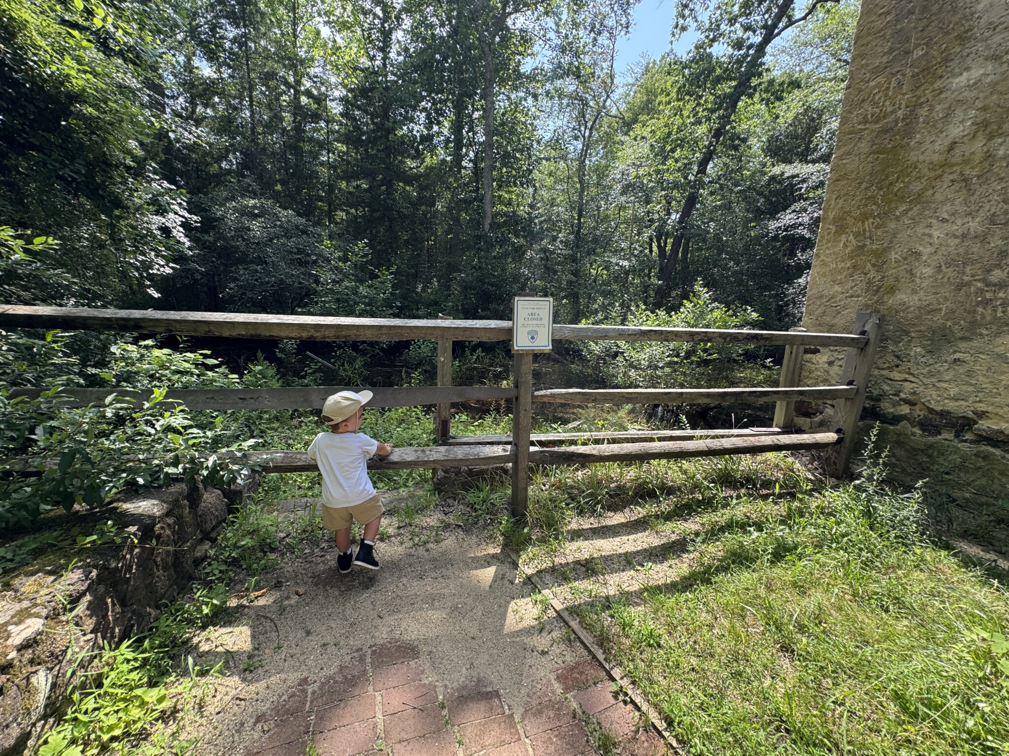 Wharton State Forest Burlington-County-nj-mom