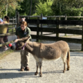 Bergen County Zoo feed nj mom