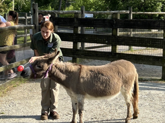 Bergen County Zoo feed nj mom