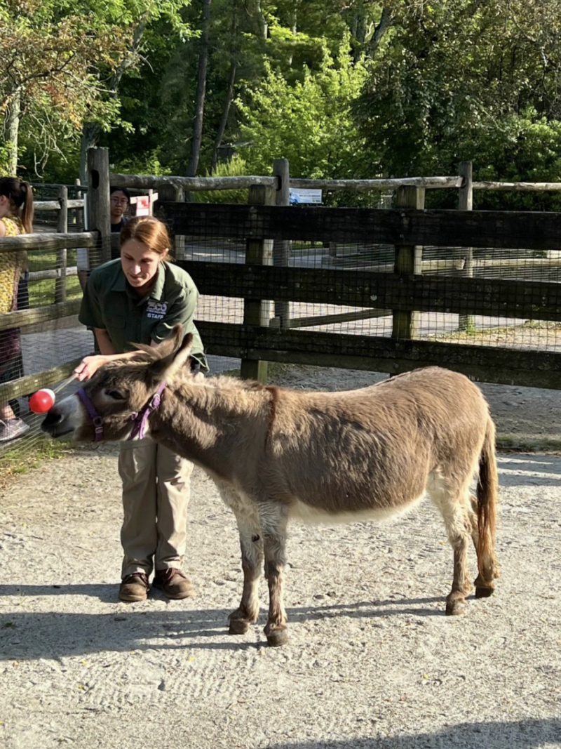 Bergen County Zoo feed nj mom
