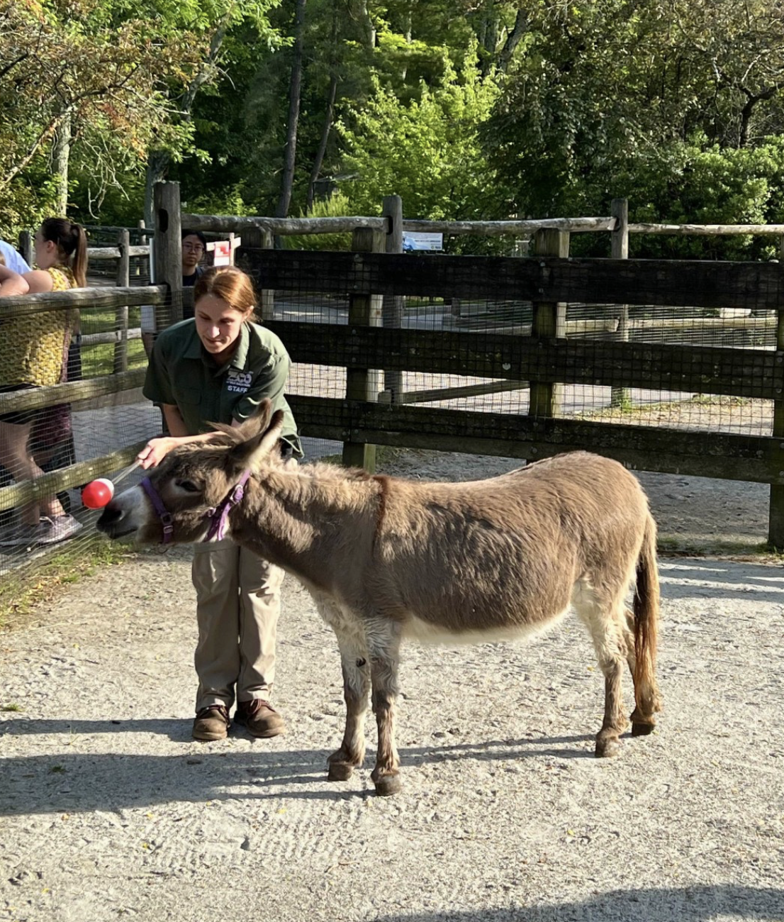 Bergen County Zoo feed nj mom