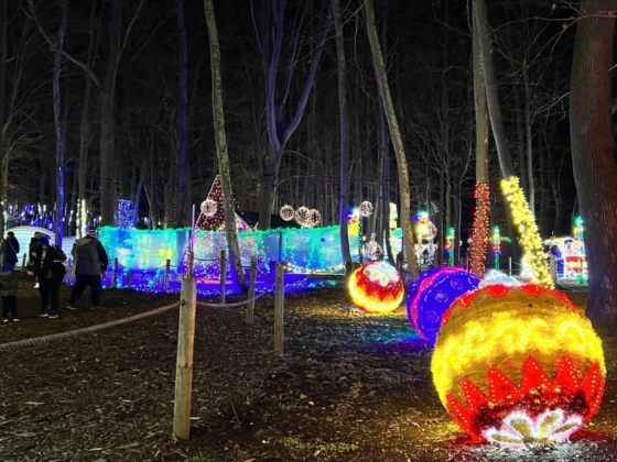 winter-festivals-and-fairs-renault-winery-vinter-wonderland-scaled-1-1920x1280